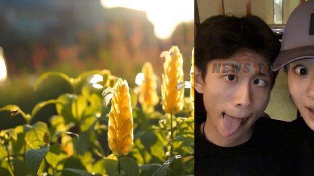 ENG SUB - #张一山 喜迎28岁生日，#杨紫 发文为他庆祝，你啥时候能娶#杨紫 啊？ 【NEWS TT7003月04日】 смотреть онлайн