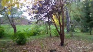 Осень в городском парке