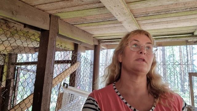 Дача в Эстонии.Расхламление сарая и участка на даче.Дела дачные.Собираемся в СПА отель.Семейный вло