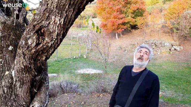 Supergreen nel giardino incantato di Luca Pappagallo con Il Bocca (alberi del Monte Amiata) смотреть онлайн