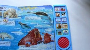 Животные морей и океанов изд. Азбукварик