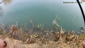 Սազանի, Կարպի որս, ЛОВЛЯ САЗАНА, КАРПА НА ДОНКУ (пружину) весной.