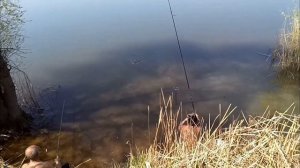 С фидером на Оскольском водохранилище!