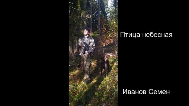 Птица небесная-Гран Куражъ. Кавер смотреть онлайн