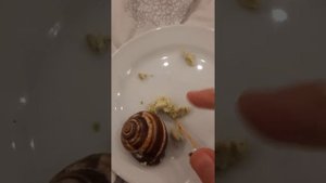 пробую УЛИТКИ!!!