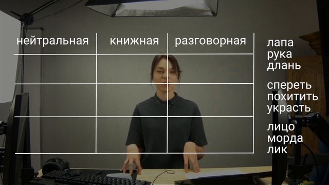 Разговорная лексика