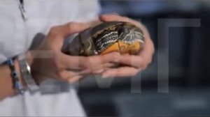 Отслоение пластин у черепах