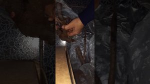 Посылка с пионами . Часть 1