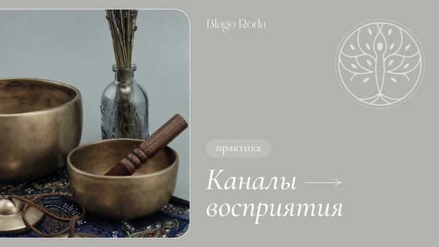 ?Практика 