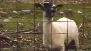 ОЧЕРЕДНЫЕ 10 GOOGLE САЙТОВ ОТ СКУКИ ДЛЯ ТЕБЯ!!!