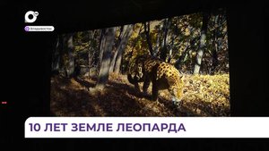 Национальному парку «Земля леопарда» сегодня 10 лет