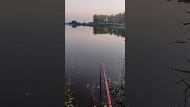 Карасева озера под Тольятти.