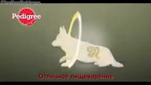Аdvertising Реклама Педигри У Манюни проблемы с пищеварением