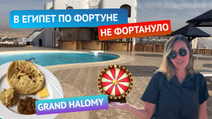 Летим в Египет по "Фортуне".  Куда мы попали? Обзор отеля Grand Halomy Resort 3* Все включено