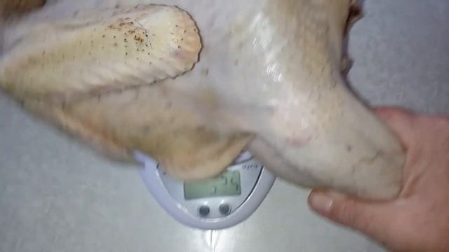 Вес тушки петушков,доминант 109. смотреть онлайн