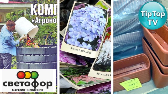 Ваза в светофоре Ваза в светофоре