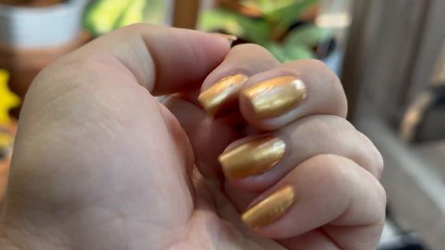 House Plant Collection Tour 2023 | Nancy G смотреть онлайн