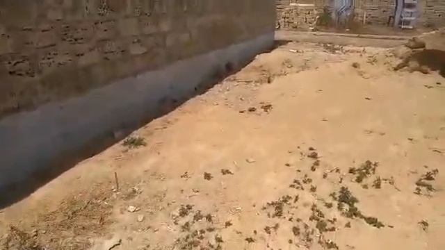 Ракушечник в Крыму, строим дома из Ракушечника в Крыму, Арболит Юг, арболит, ракушечник, теколит