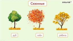 Деревья, кустарники, травы | Окружающий мир 1 класс #22 | Инфоурок