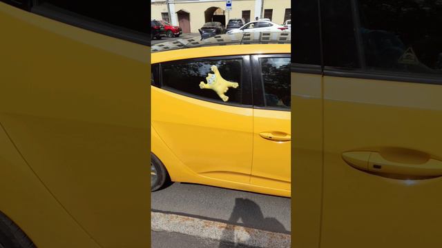 Нет светофоров в центре Кронштадта