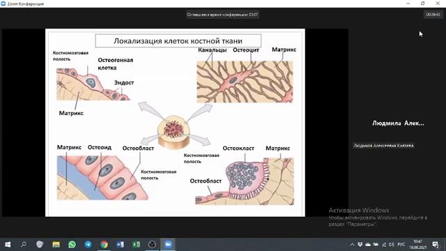 Скелетные ткани 2к - Князева Л.А. смотреть онлайн