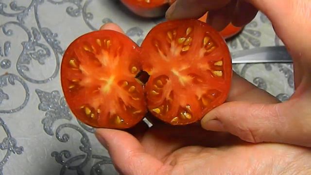 Томат KAS-21. Тест спелых плодов 2.