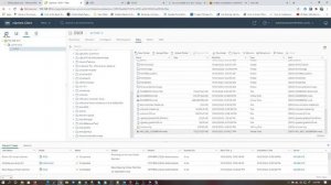 Mount Ntfs Disk into ESXI Without Wiping Data