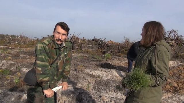 День дерева 20 октября 2012 смотреть онлайн