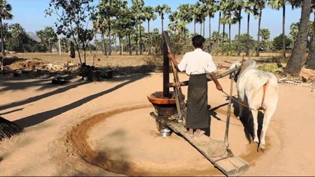 Остальная часть Земли находится не в другом измерении (ответ Чайтанье дасу) / МАЙЕШВАРА ДАСА смотреть онлайн