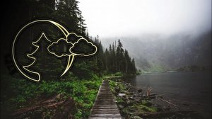 Релакс, Звуки дождя, звуки леса, для сна, медитация, Relax, Rain sounds, Forest sounds, sleep