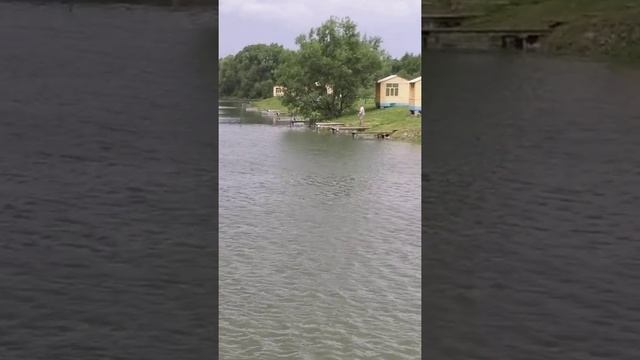 рыбалка рыбалка в подмосковье карп ловля карпа суперкарп белеутово karp fishing