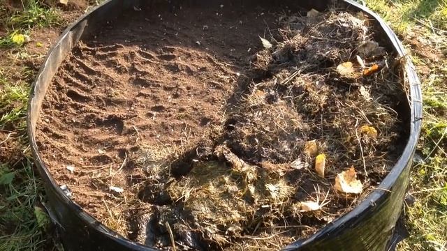 ЧЕСНОК и МОРКОВЬ. Посадка под ЗИМУ в МЕШКИ (Каркасные КАШПО). МОЙ ОГОРОД В МЕШКАХ 2021. Запись №12. смотреть онлайн