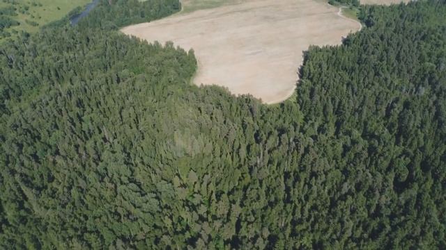 Проект Полесье. Земля под строительство коттеджного поселка в Подмосковье. смотреть онлайн