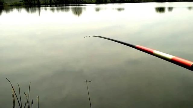 Риболовля на бічний ківок навесні / Fishing for a wild nod in the spring