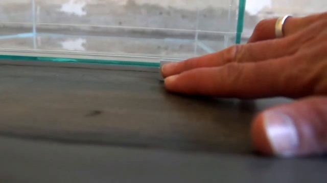 Мини-террариумы и паучатники от ReptiVision. Обзор. Все модели в одном видео / Премиум террариум смотреть онлайн