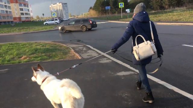 Прогулка. Встречи. Желание познакомиться