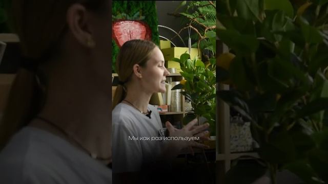 Как изготавливаются стабилизированные растения