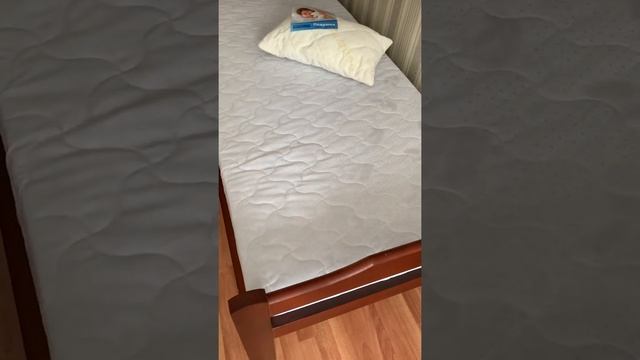 Отзыв о матрасе Promtex Orient Roll Standart 12 Cocos M 90*190 и магазине «Анатомия сна» смотреть онлайн