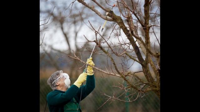 Ранневесенние работы в саду смотреть онлайн