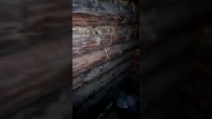 Оконный проем в деревянном срубе китайской бензопилой champion 254