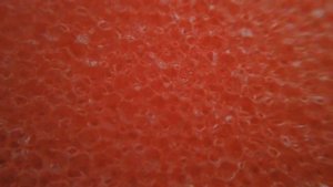 РЫБИЙ ГЛАЗ-ОБЗОР