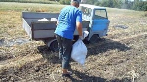 Перевозка мини-грузовиком картофеля с огорода