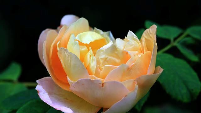 Хорошие русские песни для сна онлайн смотреть онлайн