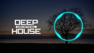 Tosel & Hale - Nobody's Way (Original Mix)