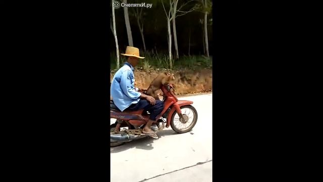 МОто приколы!! НА КРОССОВыХ МОТОЦИКЛАХ смотреть онлайн