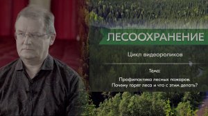 Кузнецов Е.Н.: профилактика лесных пожаров. Почему горят леса и что с этим делать?