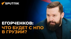 Два варианта работы НПО в Грузии после принятия закона об "иноагентах"