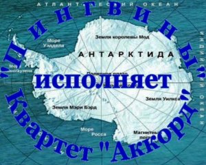 Пингвины