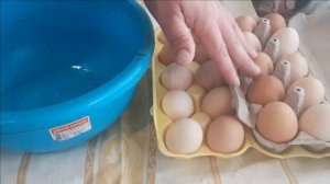 ПОДГОТОВКА ЯИЦ ПЕРЕД ЗАКЛАДКОЙ В ИНКУБАТОР. ДЕЗИНФЕКЦИЯ ЯИЦ.