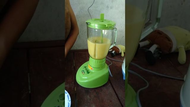 Blender bush mangga